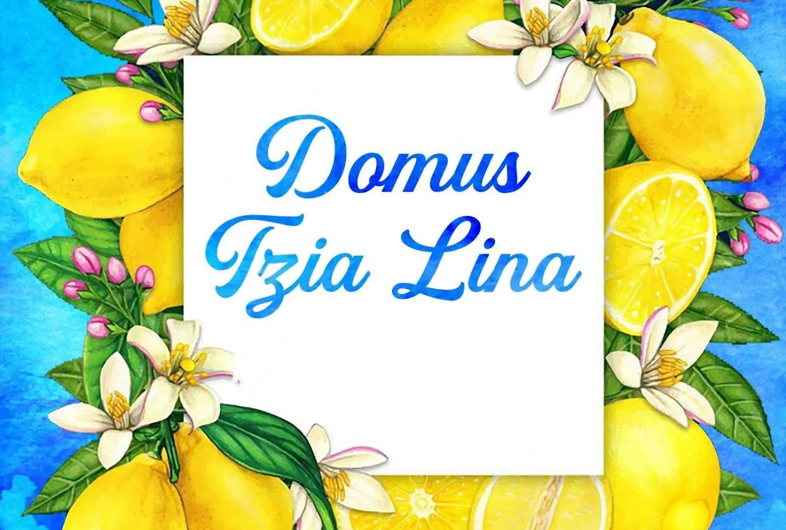 Appartamento Domus Tzia Lina Olbia